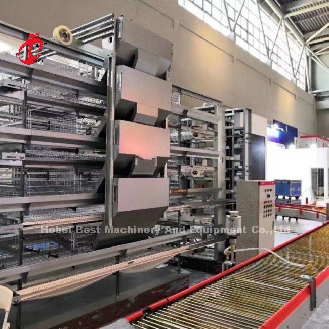 Automatic Chicken Cage Equipment Of H Frame 4 Tier Rearing Layer Cage For 50,000 Farm Doris Shi