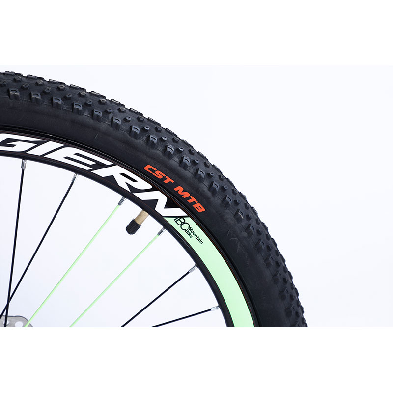 Fork Material Steel 26 Inch Mountain Bike with Front and Rear Wheel Disc Brake