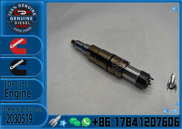 2029622 Genuine Diesel Common Rail Fuel Injector 1948565 2030519 2031836 2031835