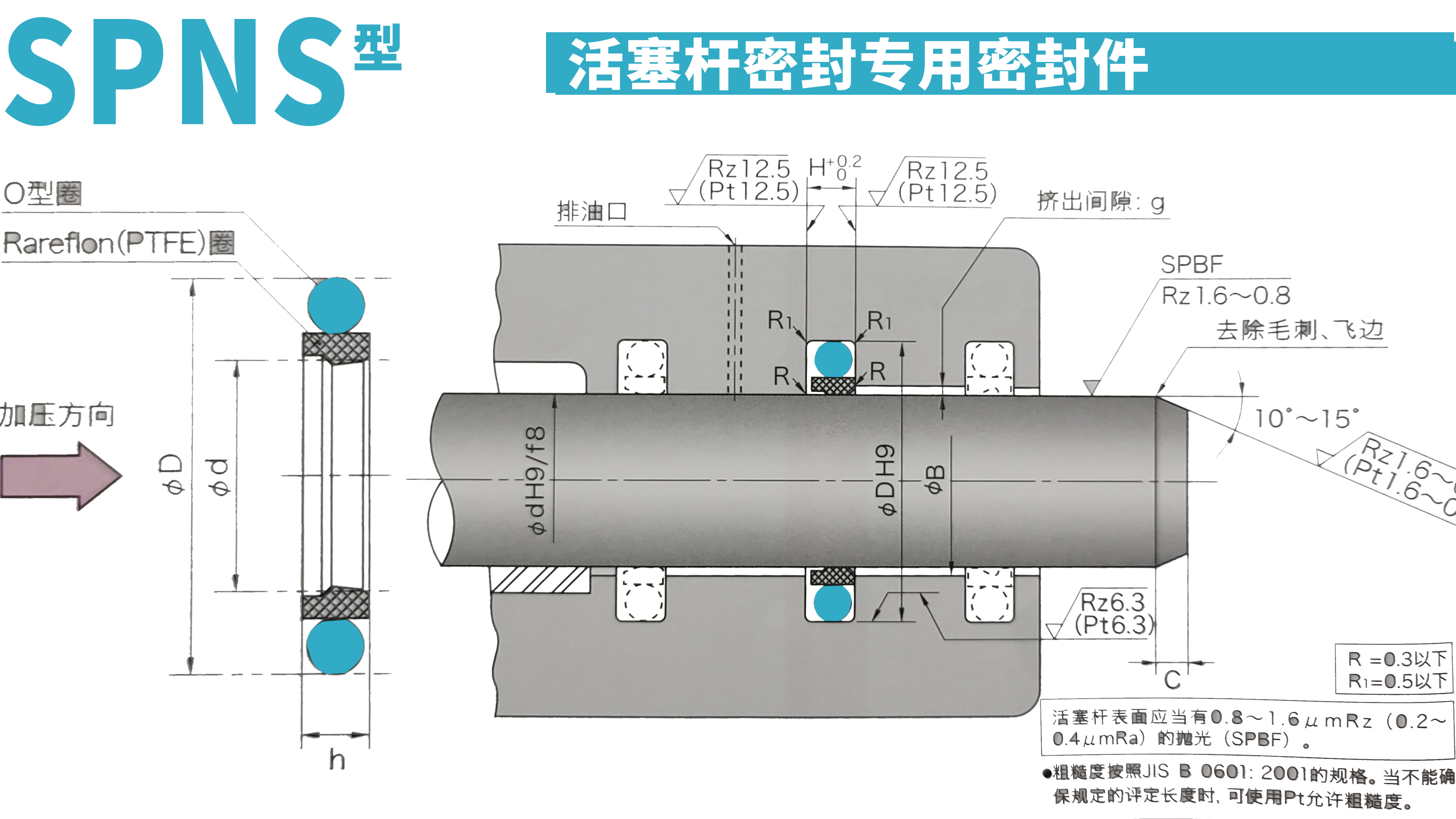 SPNS Hydraulic Seals
