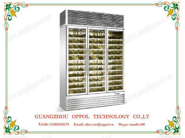 OP-417 Automatic Defrosting System High Efficiency Compressor Wine Display