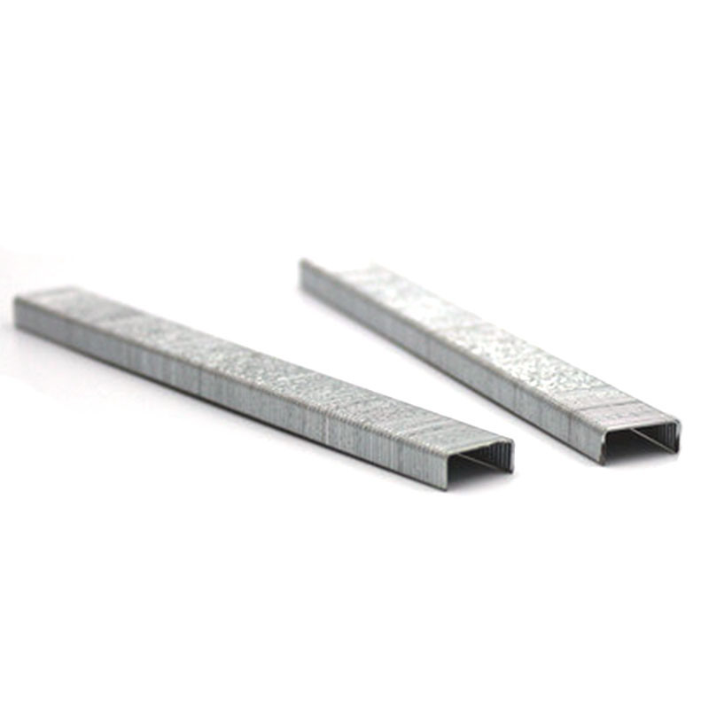 21gauge 1/2&quot; Fine Crown Air Staple Pneumatic Staple 8008 Furniture Decoration