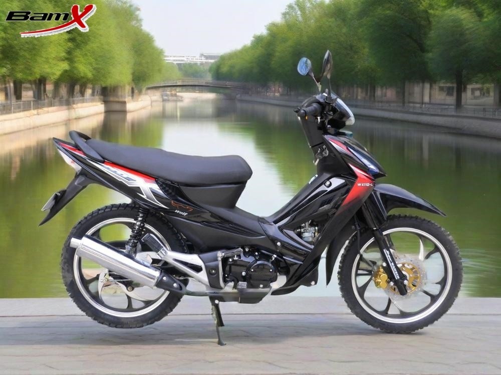 110cc RED/BLACK/AUTOMATIC Cub Motorcycle Hydraulic Damping Front Suspension 4-speed Transmission
