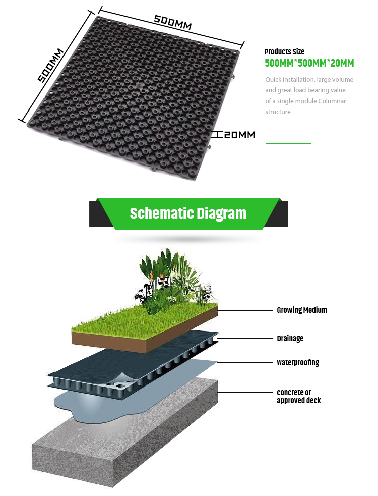 Interlocking HDPE Green Black Drainage Board for Water Management and Easy Installation