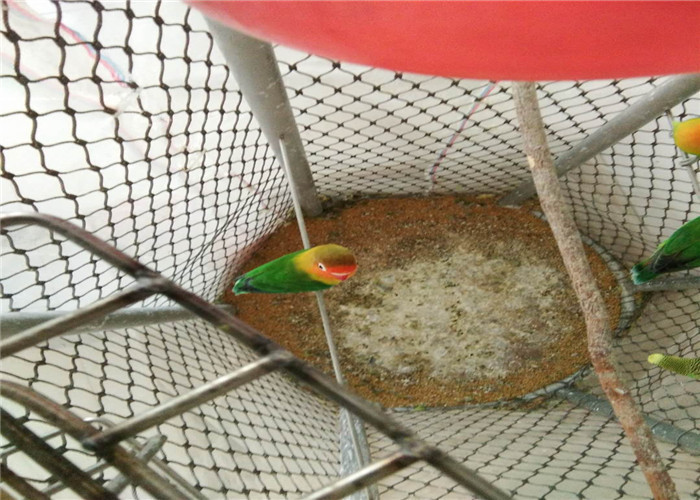 Protective Stainless Steel Aviary Mesh , X Tend Stainless Steel Aviary Panel