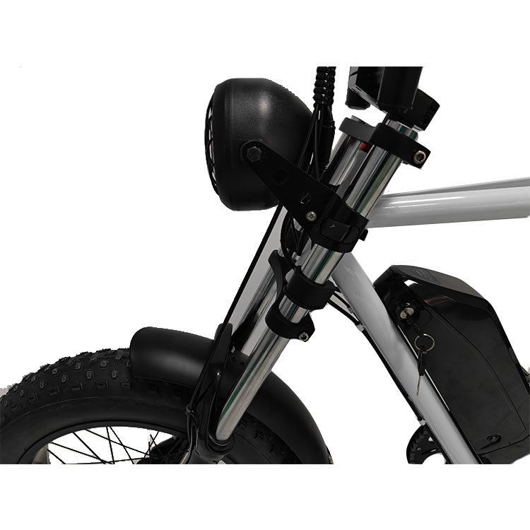 Rear Hub Motor 20*4.0'' Fat Tire Electric Bicycle E-Bike For Market