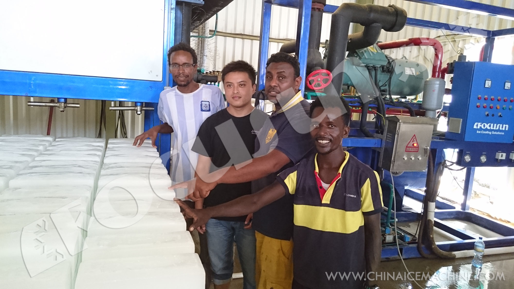 Bizter Emerson Compressor Vacuum Cooling Equipment for Lettuce Precooling in Industry