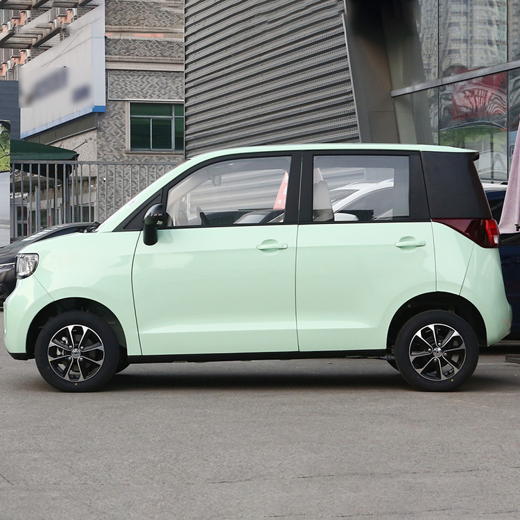 Affordable Mini Car Low Speed EV Vehicle for Your Business Needs