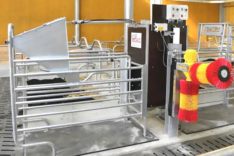 ISO9001 2008/CE/BV Certified Prefabricated Steel Beams H Beams Livestock Shed for Cow
