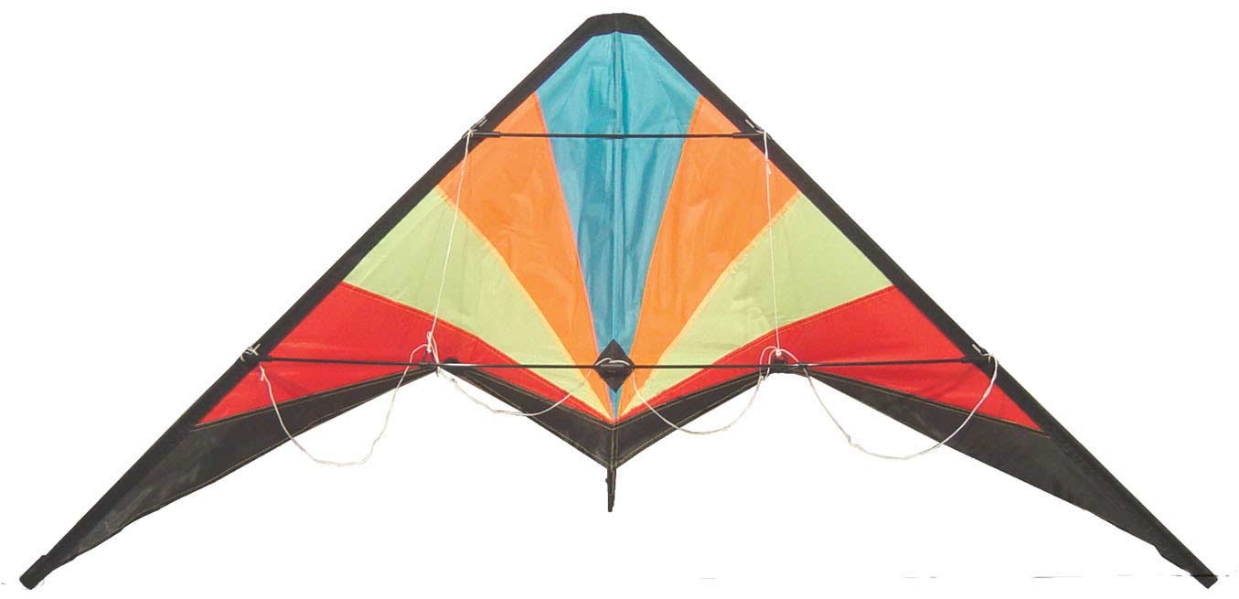Classic style outdoor Delta sports kite colorfully with common size