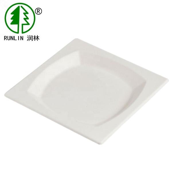 21CM Paper Biodegradable Sugarcane Bagasse Plates Environment Friendly
