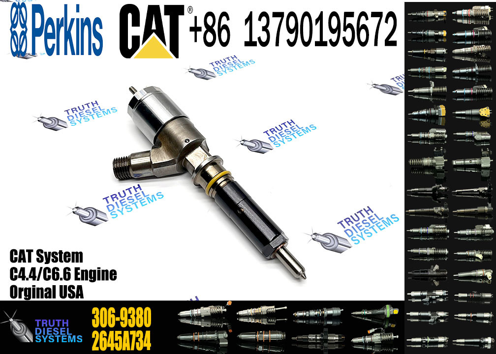 C4.4 C6.6 Engine Fuel Injector 320-0690 292-3790 306-9390 10R-7673 2645A746 2645A749 2645A747