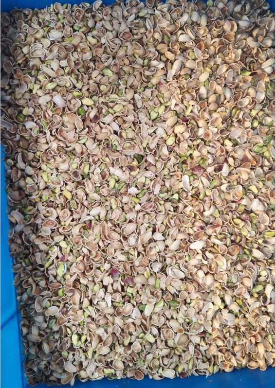 New Model Pistachio Color Sorting Machine With Wifi Remote Control Nuts Color Sorter