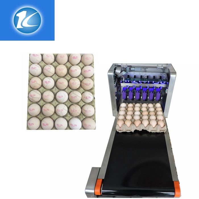 High Resolution Egg Marking Equipment , Edible Grade Quick Dry Ink Egg Printer