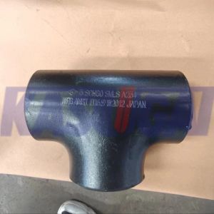 ASTM A234 WPB B16.9 Carbon Steel Equal Tee