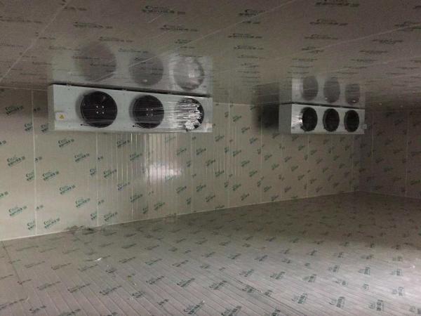 10 Coldroom for Medicine and Vaccine -35c to 20c Temperature Range Assembled