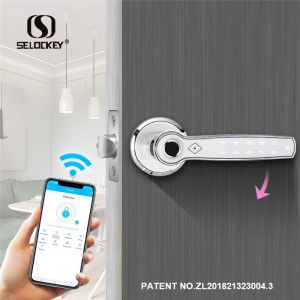 Remote Tuya App WIFI Mechanical Concealed Door Lock
