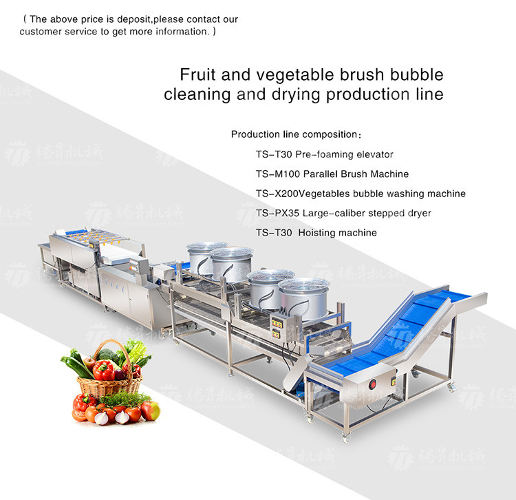 Fruit And Vegetable Wool Roller Bubble Cleaning Machine 1500KG/H