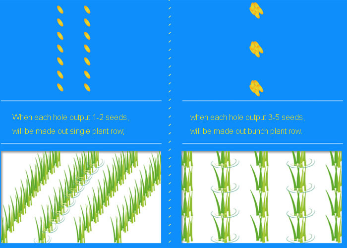 Planting Width 2.4m 8 Rows Paddy Planter Machine For Agriculture