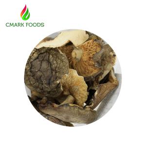  Gourmet Food Dried Oyster Mushrooms Grade B Dried Wild Mushrooms Manufactures