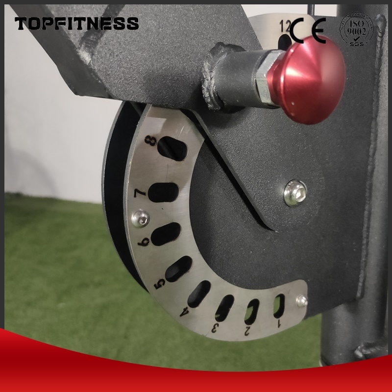 Rope Trainer Rope Pull Exercise Machine Resistance Bands with Handles Trainer Suction Cup Home Fitness Pilates