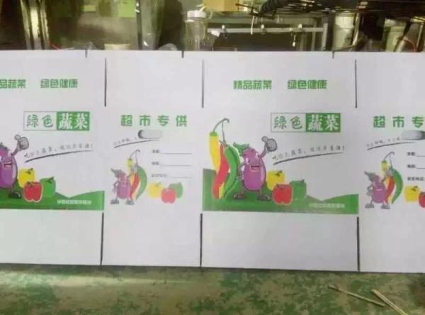 Carton Box Die Cutting Flexo Printer Slotter Machine ISO 900x2000mm Max. Feeding