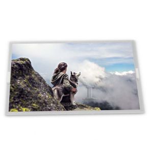 China TM045XYSA02 4.5 TFT Display LCD Screen Panel Quality Industrial Control Screen Good Price from Stocked Supplier on sale