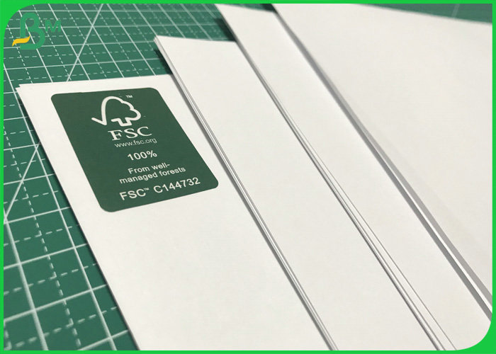 75gsm 80gsm 100gsm 100% Wood Pulp Offset Paper In Reel For School Book Use