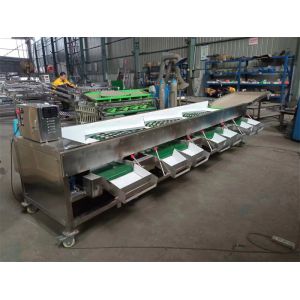 tomatoes sorting machine, tomatoes grading machine, tomato grader sorter