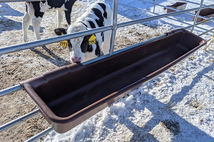 ISO9001 2008/CE/BV Certified Prefabricated Steel Beams H Beams Livestock Shed for Cow