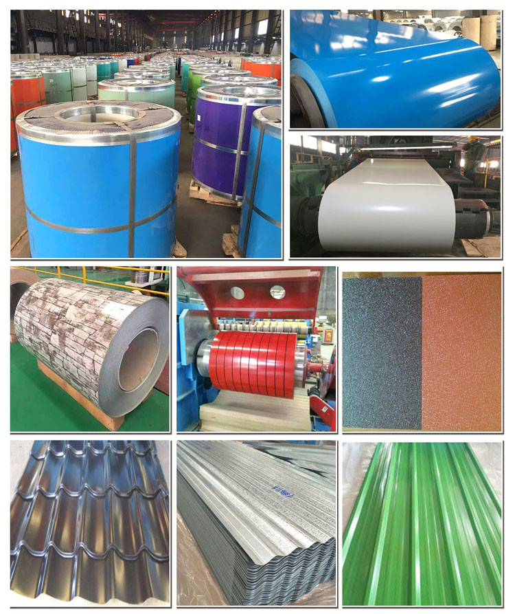 Hot Dipped Galvanized Steel Coil Steel Sheet Gi Hdgi Galvanized Color Coated Steel Coil