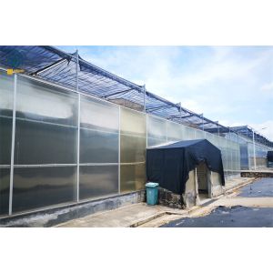  Multi-Span Polycarbonate Greenhouse With Durable Easy Maintenance Manufactures