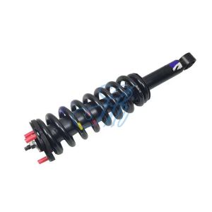 Shipping 7-25 days Front Shock Absorber Inflatable for ISUZU Dmax JMC Teshun
