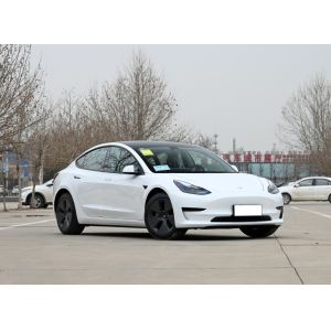 2024 Tesla Model 3 Speed Luxury Sedan with Advanced Body Structure and Left-Hand