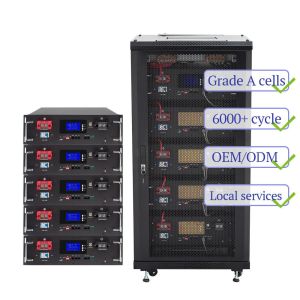 LiFePO4 Lithium Battery Deep Cycle Solar LiFePO4 Lithium Battery OEM 48V 10KW