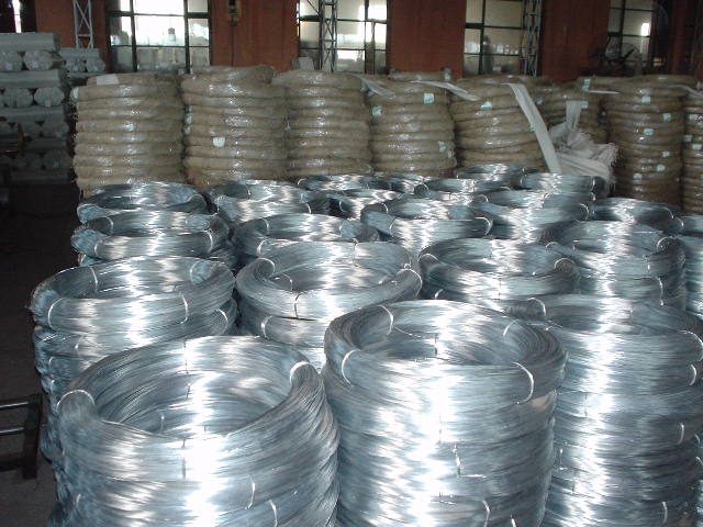 PVC Coated Electro Galvanized Iron Wire (Anjia-224)