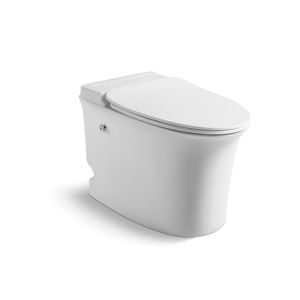 Pulse Floor Mounted Tankless Toilet Elongated With Touchless Flush