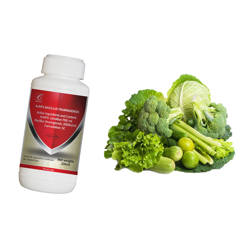 Vegetable Safe Insecticide 50ml SC 15L Water 20-50g WP 15L Water