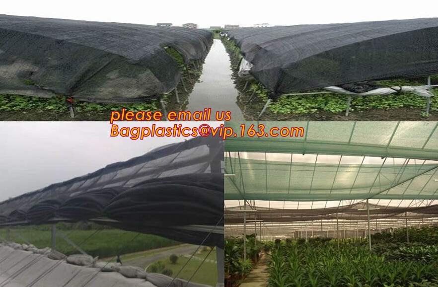 PE safety net for building and construction debris safety net,Safety Nets for Construction Safety 120g Construction Buil