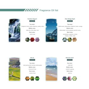 500Ml Diffusers Luxury Pure Waterless Diffuser Essential Oil Diffuser Essential