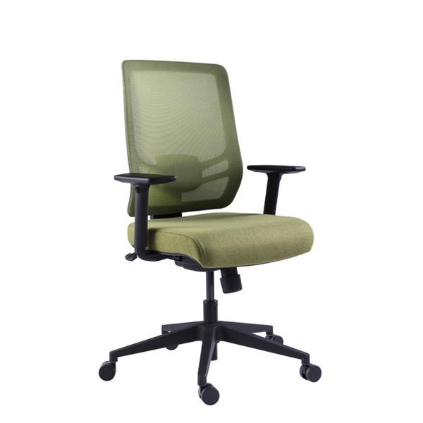 InFlex Fabric Finish Ergo Desk Chairs Lumbar Support Chair Mesh Seating Staff