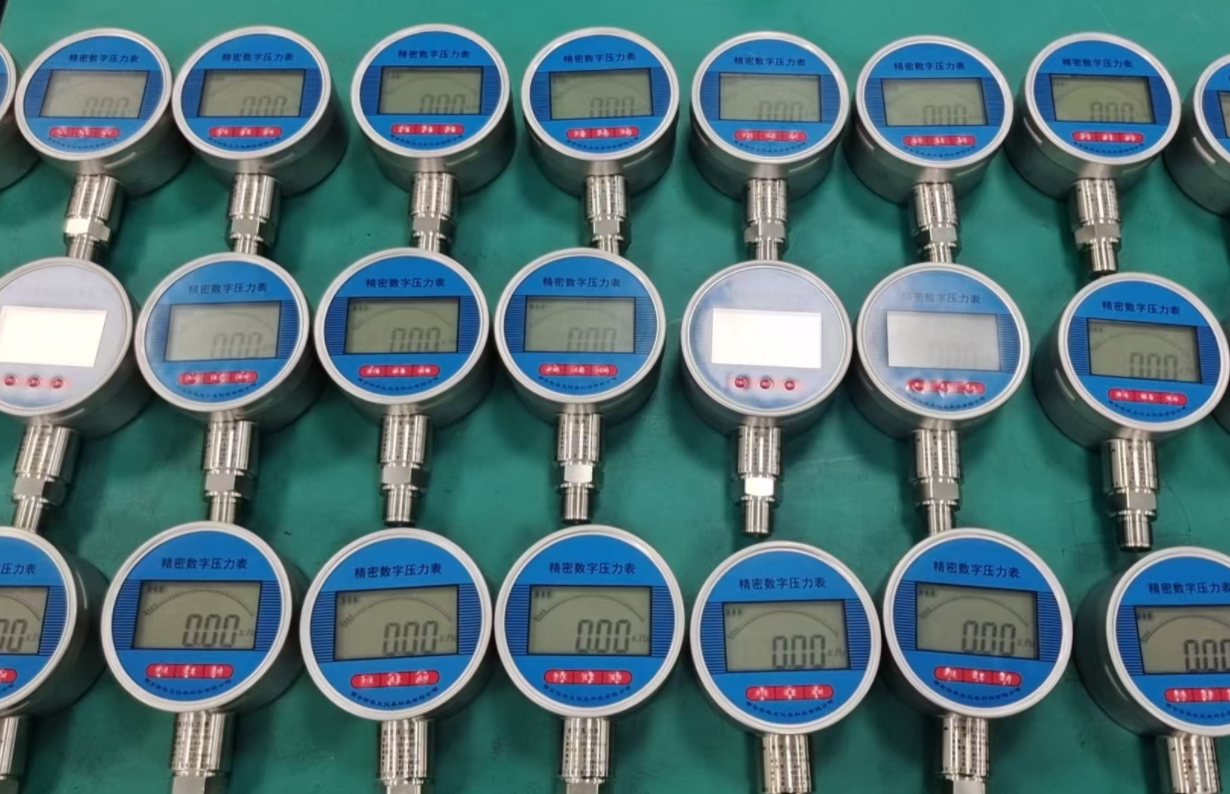 High Capacity Lithium Battery Digital Pressure Gauge No External Power Needed Easy-to-Read Results