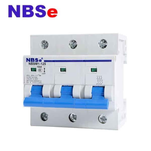 3P Industrial Type Circuit Breaker Type D Mcb NBSM30-125 Series Din Rail