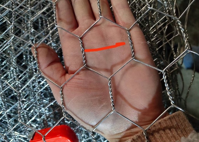 6x8cm 2.8mm Galvanized Gabion Hexagonal Wire Mesh For Corn And Garden