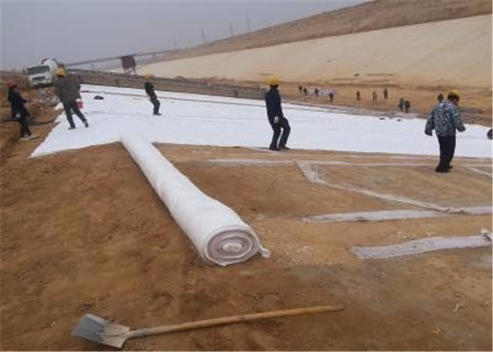 800g Non Woven Geotextile Polypropylene Fabric For Reinforcement