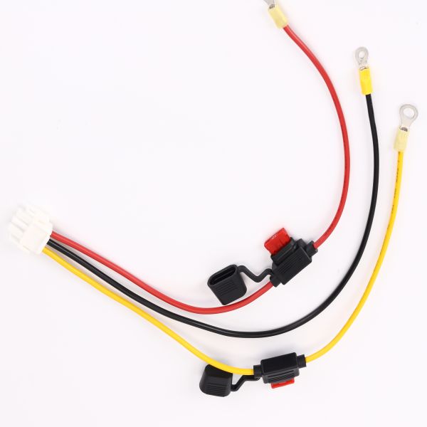 Quality Custom 12 AWG Automotive Wire Harness with ATC ATO Connector and 100% Testing Inspection for sale