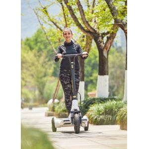 China ARD 301 Alu Alloy H1340mm Electric Balance Scooter on sale