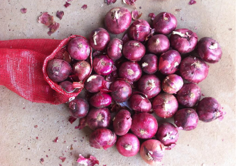5cm Blood Pressure Reducing Natural Fresh Onion