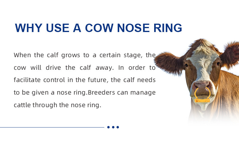 High Durability Bull Nose Ring In 8.5mm Coarseness For Industrial