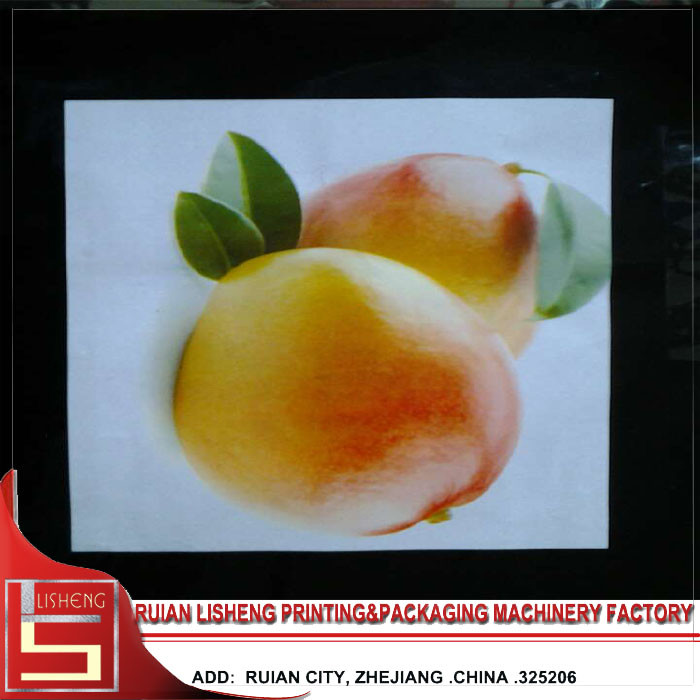 Roll plastic Film Rotogravure Printing Machine , automatic